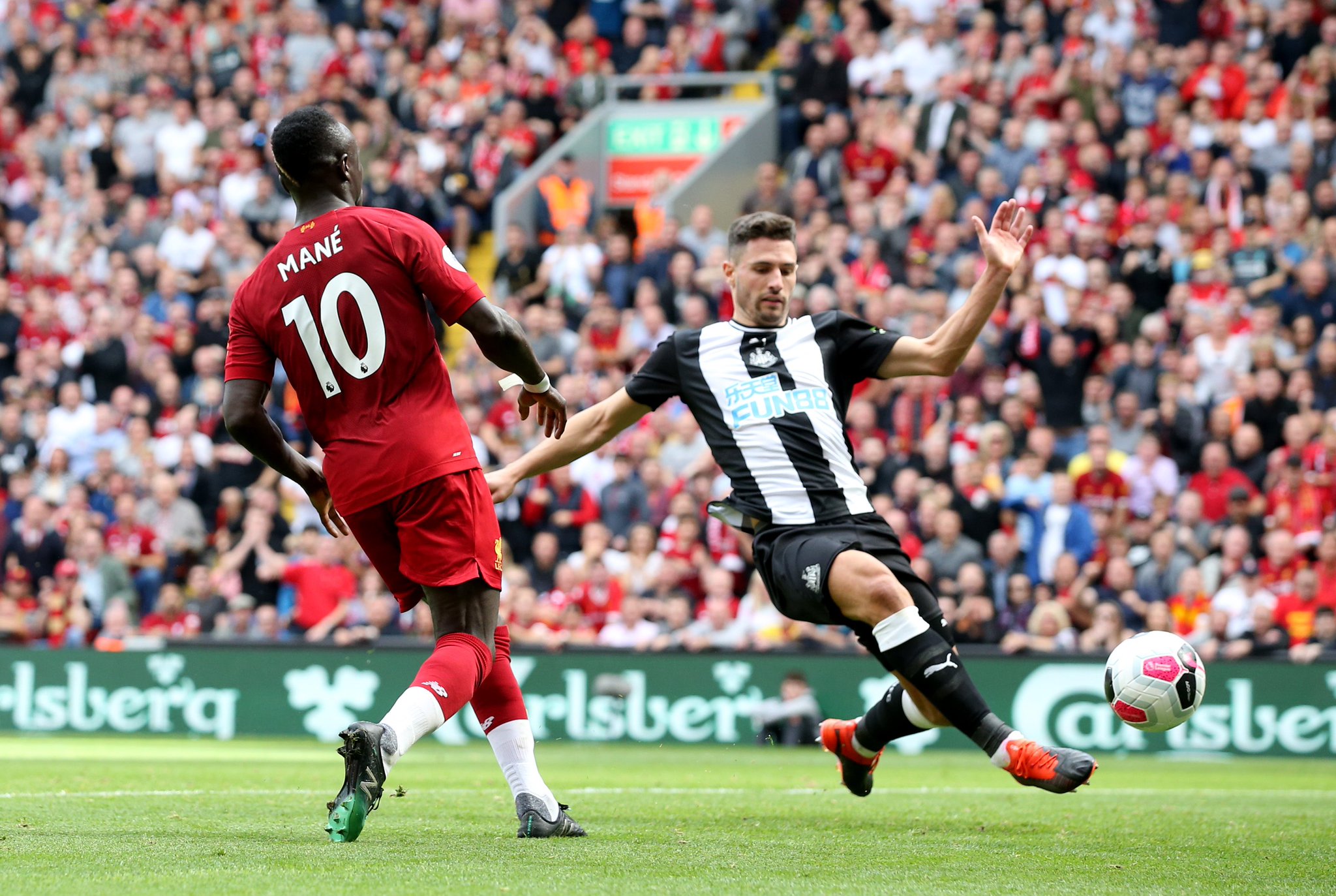 鸟类的观察 鸟类的观察